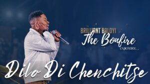 Brilliant Baloyi - Dilo Di Chenchitse